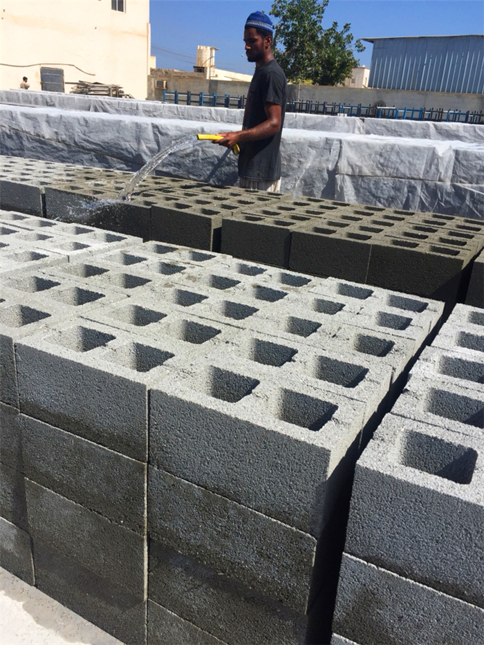 QTMT 12-25 Concrete Hollow Block Free Pallet Making Machine Working in Syria 